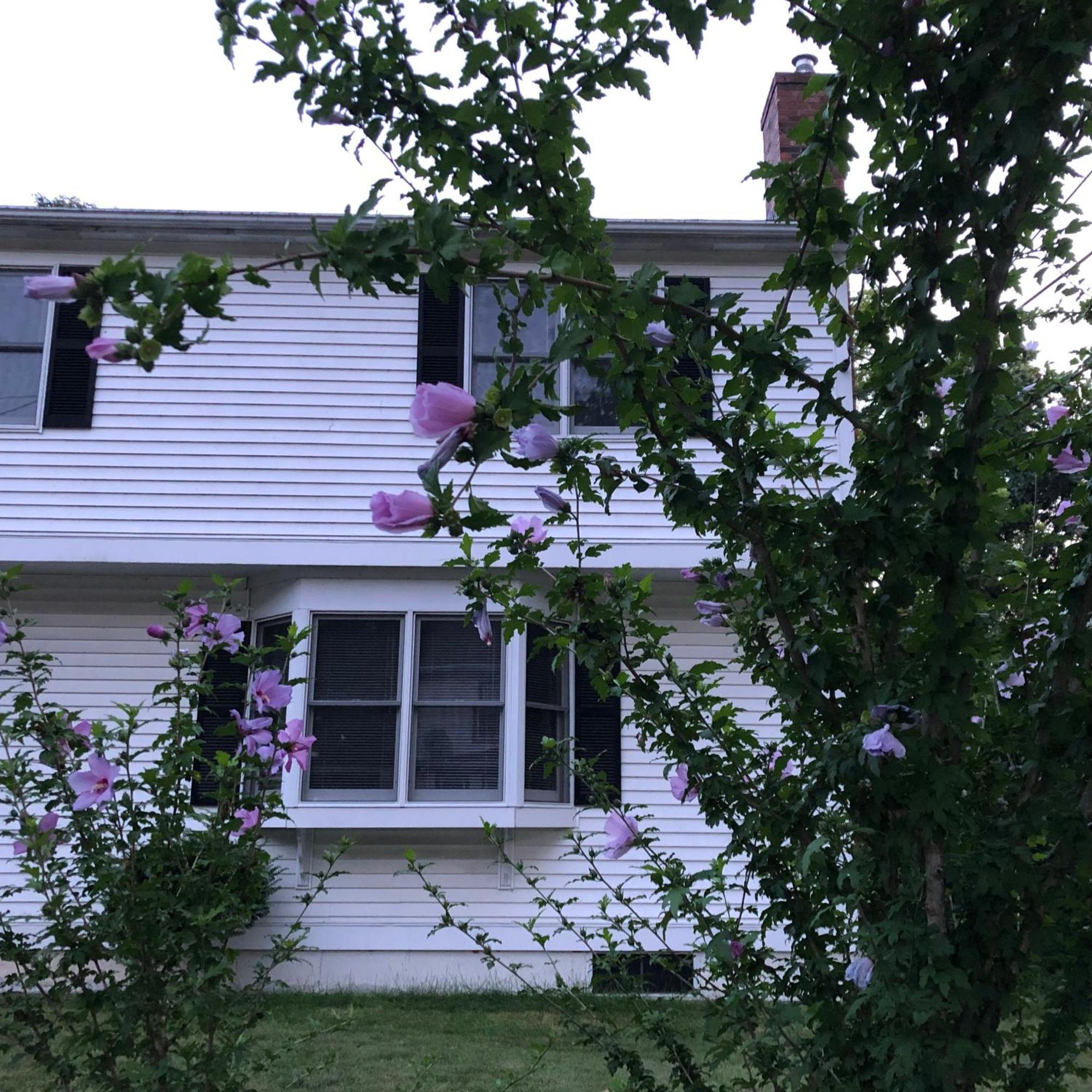 فيلا Boston Single Family House - Super Quiet And Private المظهر الخارجي الصورة